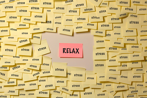 Stress Response